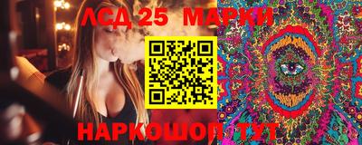 гидропоника Рязань