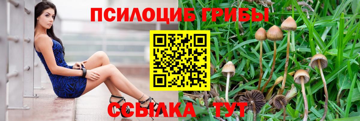 Уварово  Галлюциногенные грибы Cubensis  Вход с VPN 